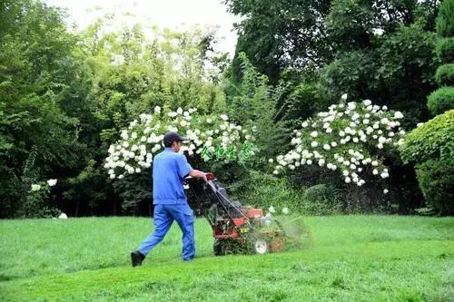 春季园林植物绿化养护攻略大全